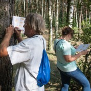 Powiększ zdjęcie Imieniny Dziadka-Święto Ulicy Józefa Piłsudskiego 22 lipiec 2018